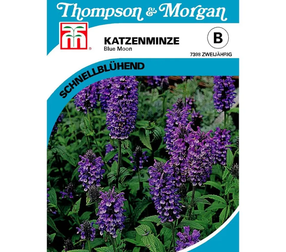 Thompson & Morgan Samen Katzenminze 'Blue Moon'