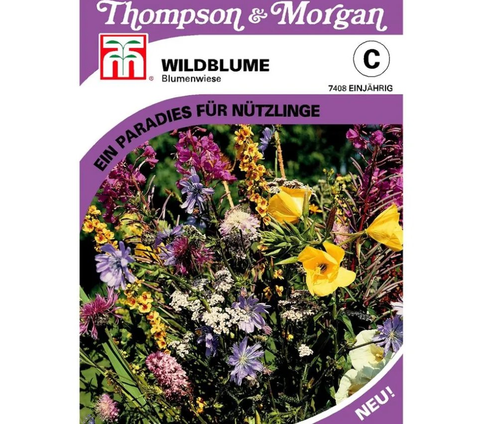 Thompson & Morgan Samen Wildblume 'Blumenwiese'