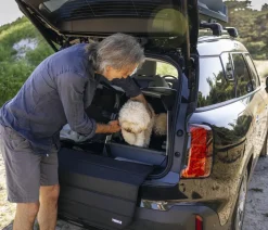 THULE® Allax threshold compatible S Hundetransportbox für Fahrzeuge mit Ladekante, ca. B58/H55/T72-80 cm