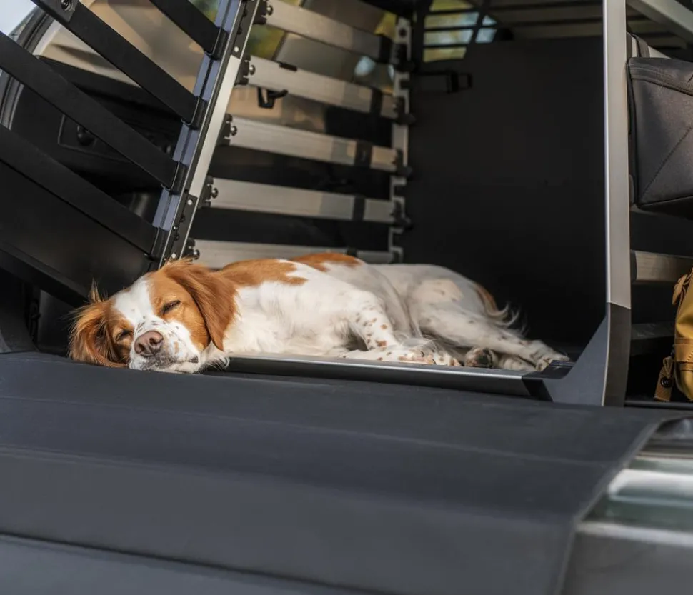 THULE® Allax XXL Hundetransportbox, ca. B75/H78/T103-120 cm