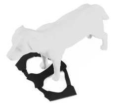 THULE® Hundegeschirr für Autos Cappy