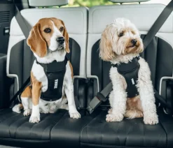 THULE® Hundegeschirr für Autos Cappy
