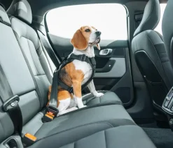 THULE® Hundegeschirr für Autos Cappy