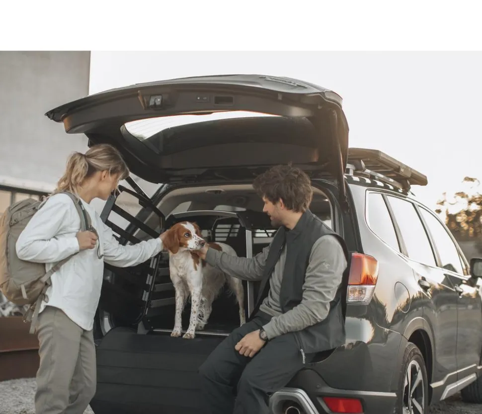 THULE® Ladekantenschutz Bumper Protector Wide, ca. B90/H75 cm