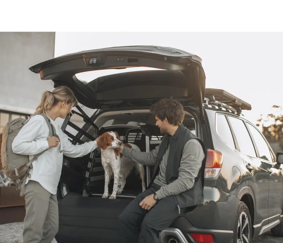 THULE® Ladekantenschutz Bumper Protector Standard, ca. B75/H75 cm