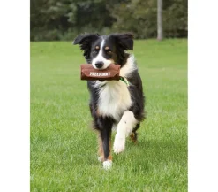 Trixie Dog Activity Hundespielzeug Preydummy