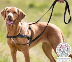 Trixie Hundegeschirr Lead'n'Walk Soft, schwarz