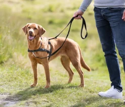 Trixie Hundegeschirr Lead'n'Walk Soft, schwarz