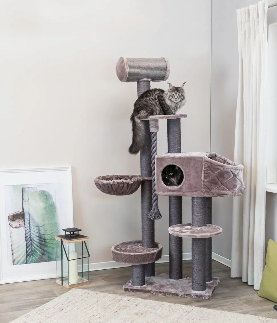 Trixie Kratzbaum XXL Andres, cappucino, ca. B70/H190/T48 cm