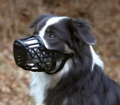 Trixie Maulkorb für Hunde