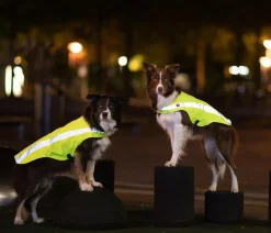 Trixie Sicherheitsweste für Hunde, neongelb