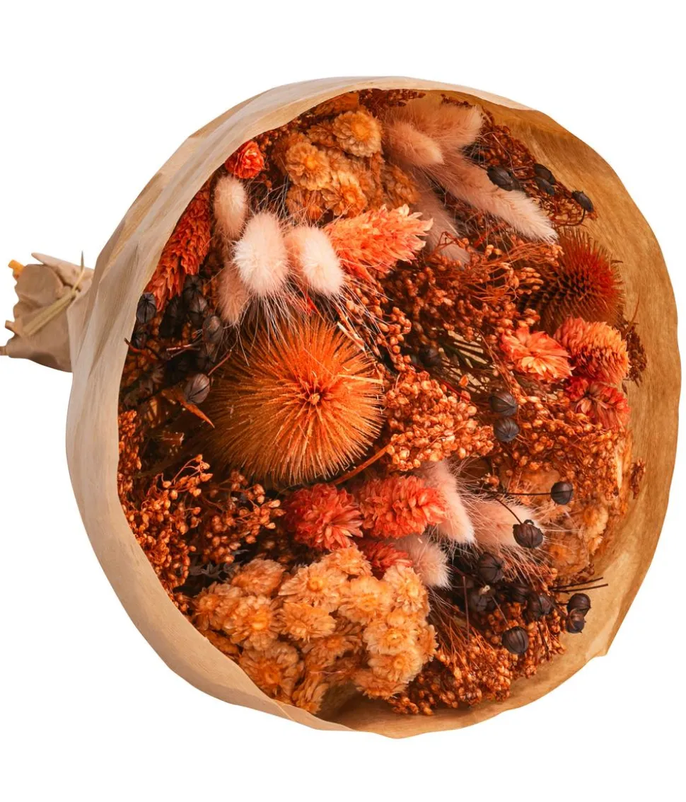 Trockenblumenbouquet Wow, terracotta