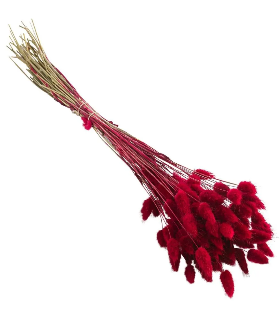Trockenblumenbund Hasenschwanzgras, pink