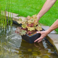 Ubbink Wasserpflanzenkorb, schwarz, rechteckig