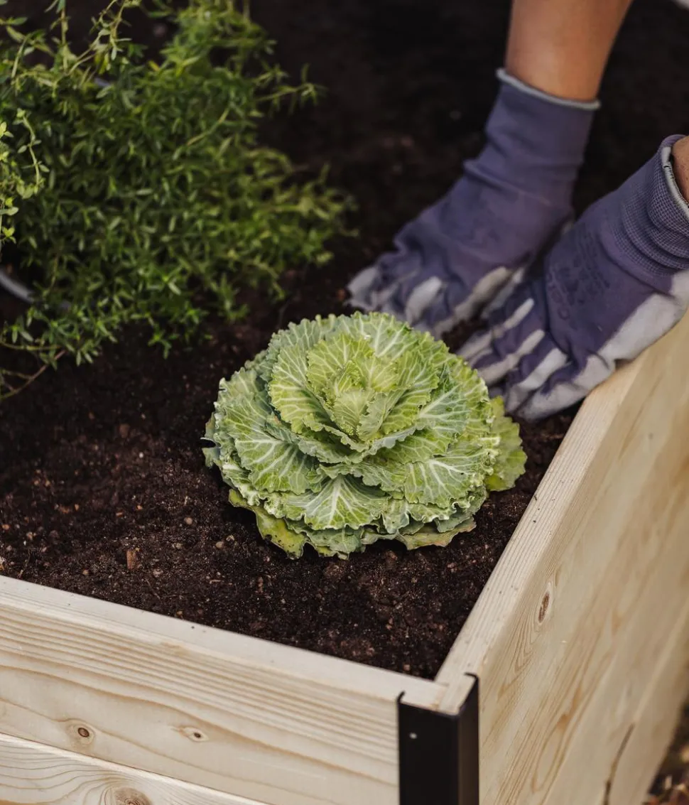 Upyard Holz-Hochbeet GardenBox I-Box, ca. B120/H40/T80 cm