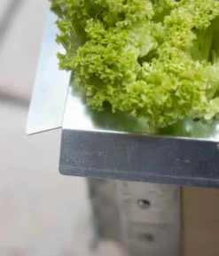 Upyard Schneckenkante