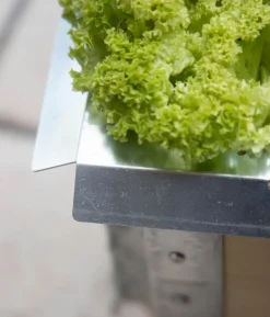 Upyard Schneckenkante