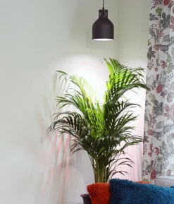 Venso Lampenschirm Saga für Pflanzenlampe