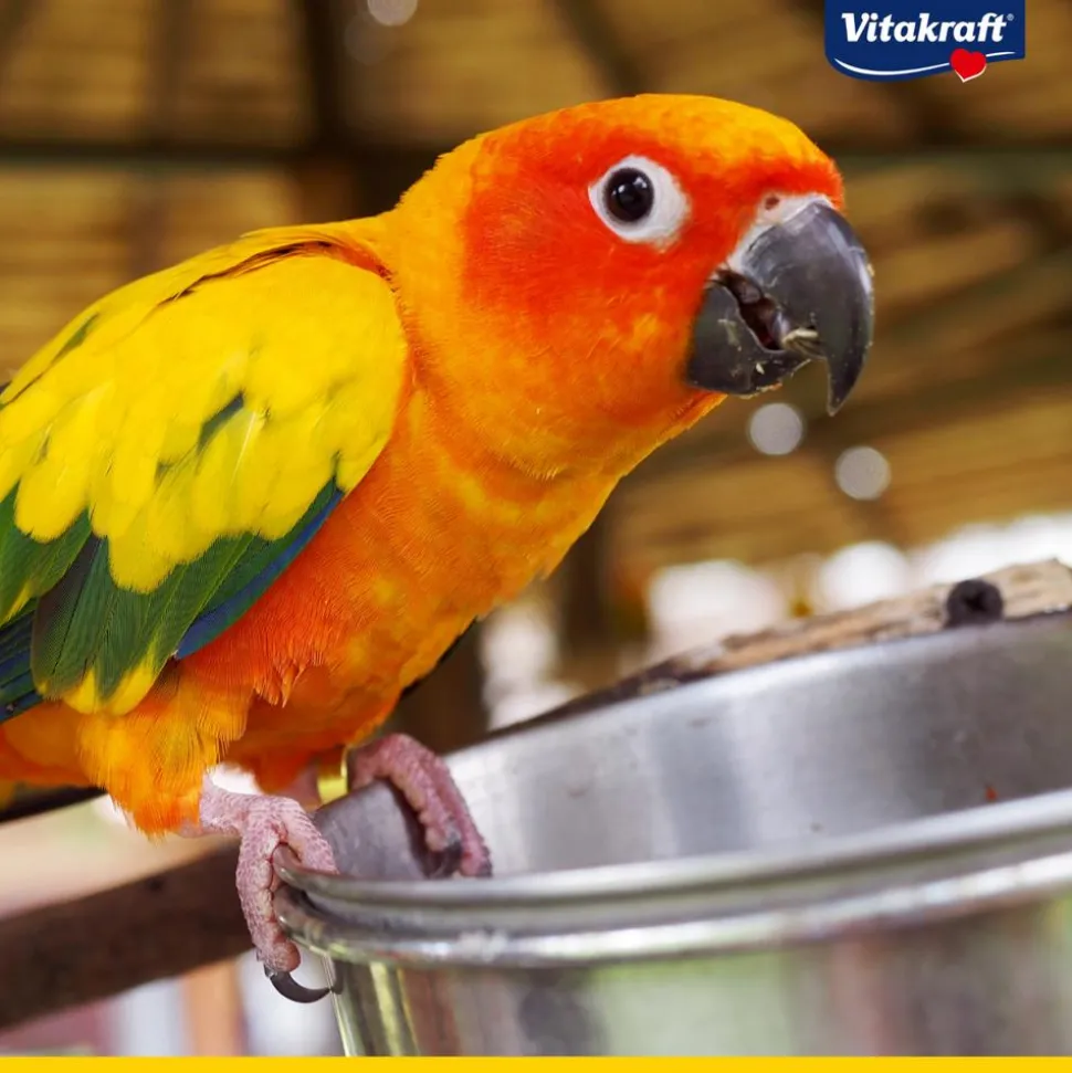Vitakraft® Vogelfutter Amazonian für südamerikanische Papageien, 750 g