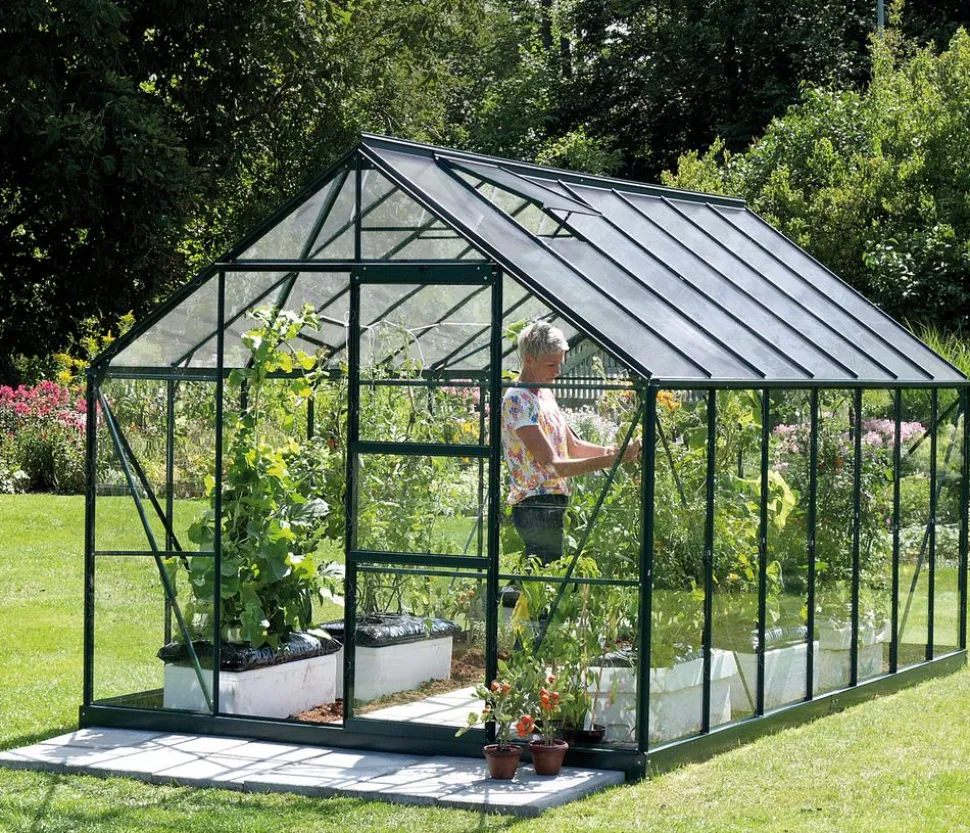 Vitavia Gewächshaus Neptun 11500, ESG/HKP