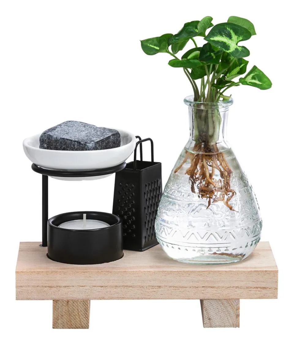 Waterplant-Set Wellness in Glasflasche - Syngonium podophyllum 'Pixie'