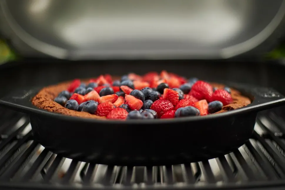 Weber Elektrogrill Pulse 2000 Black