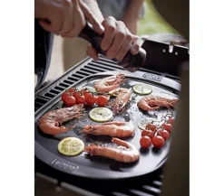Weber keramische Grillplatte