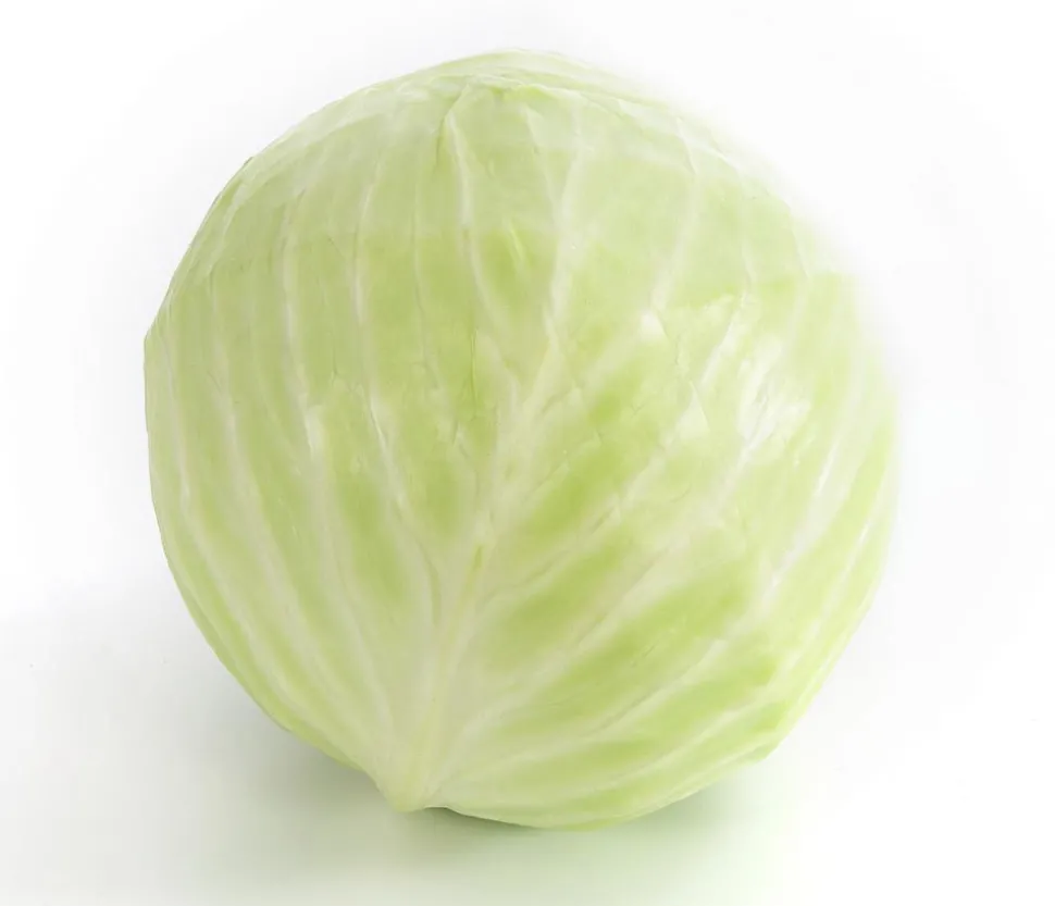 Weißkohl, 6er Schale