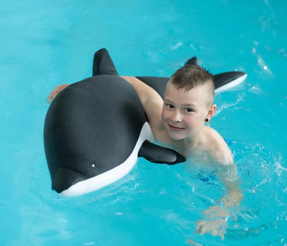 Westmann Pool-Buddy Delfin