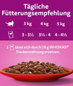 Whiskas® Nassfutter für Katzen Multipack Jumbo Klassische Auswahl in Sauce, Adult, 80 x 85 g