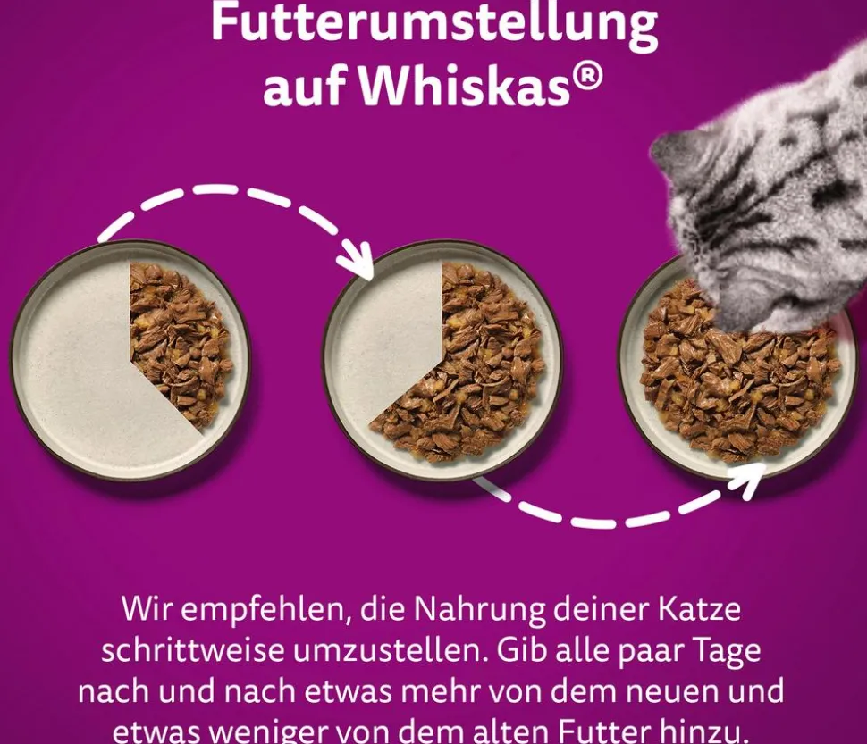 Whiskas® Nassfutter für Katzen Multipack Tasty Mix Fish of the day in Sauce, Adult, 12 x 85 g