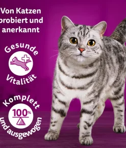 Whiskas® Nassfutter für Katzen Multipack Tasty Mix Chef's Choice in Sauce, Adult, 12 x 85 g