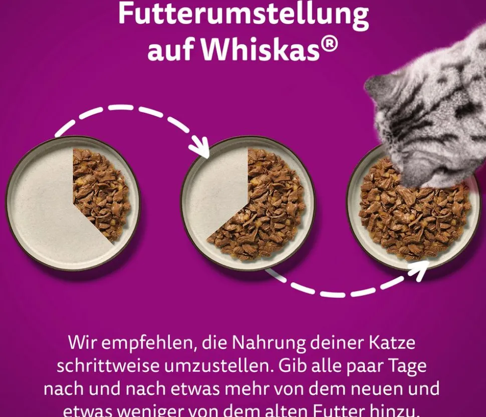 Whiskas® Nassfutter für Katzen Multipack Tasty Mix Chef's Choice in Sauce, Adult, 12 x 85 g