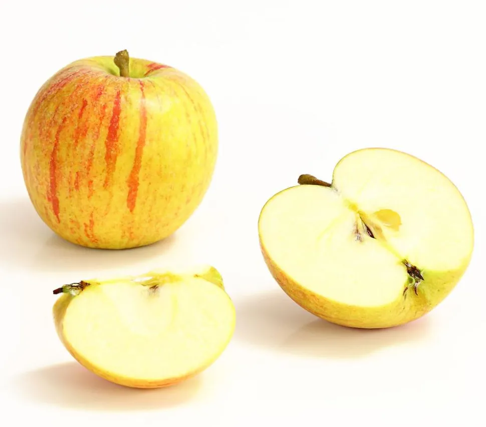 Winterapfel 'Cox Orange'
