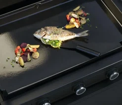 WMF Plancha Set 45E, ca. B50/H24,5/T63 cm