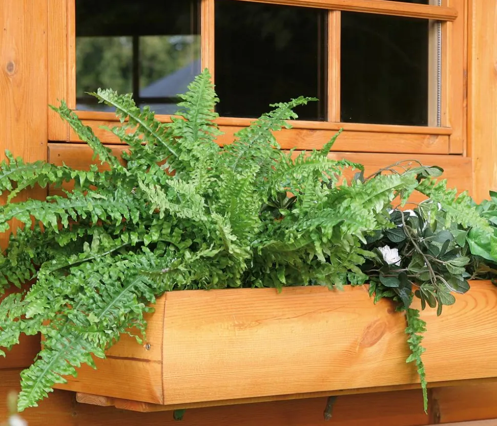 Wolff Finnhaus Blumenkasten Modell 80 Kota