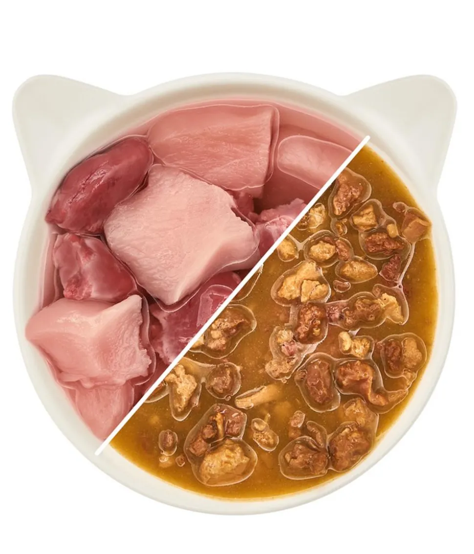 WOW® Cat Nassfutter für Katzen Premium Filets in Sauce, Adult, 8 x 85 g