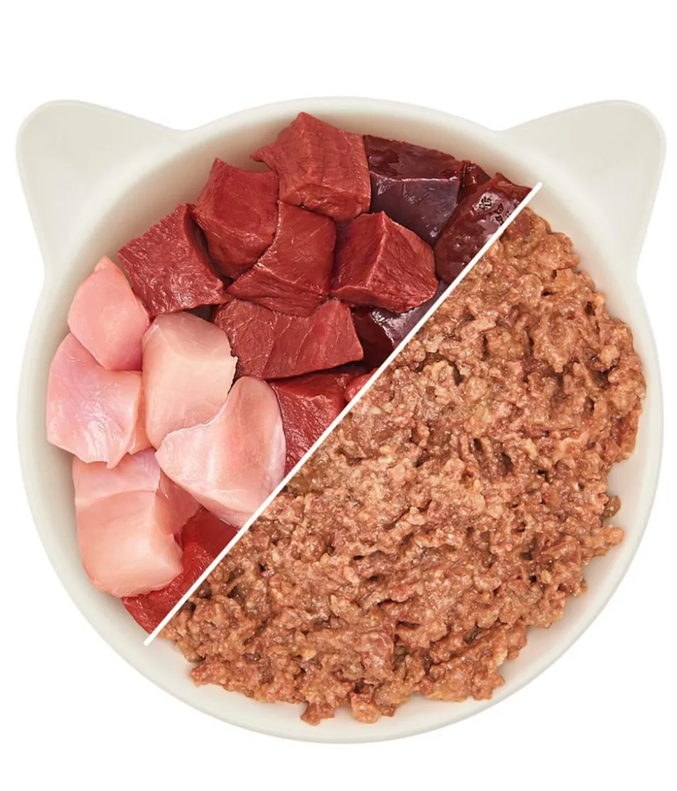 WOW® Cat Nassfutter für Katzen Premium Paté Adult, 6 x 200 g