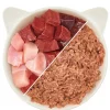 WOW® Cat Nassfutter für Katzen Premium Paté Adult, 12 x 125 g