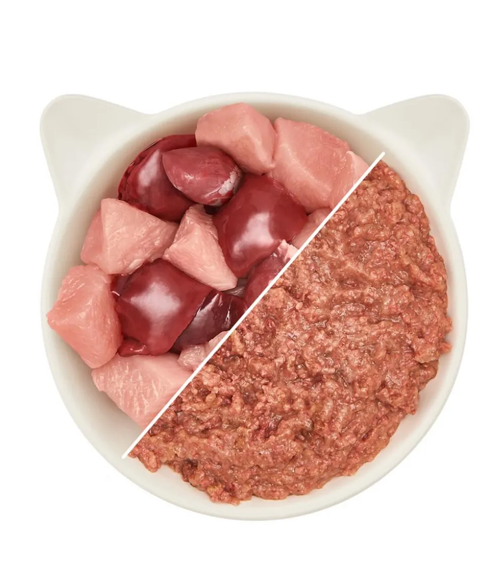 WOW® Cat Nassfutter für Katzen Premium Paté Junior, 6 x 200 g