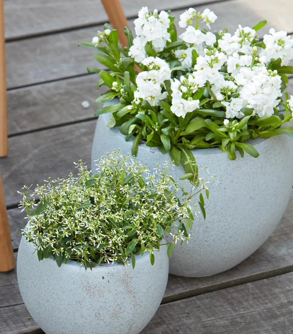 Zauberschnee 'Diamond Frost'