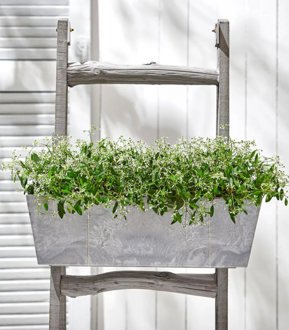 Zauberschnee 'Diamond Frost'