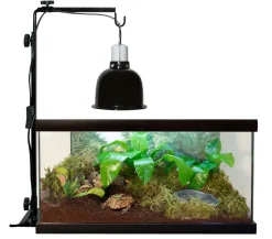 Zoo Med Mini Deep Dome Lampenfassung